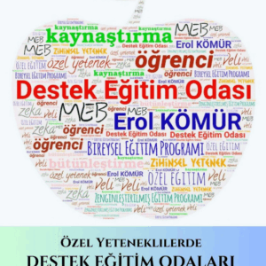 ÖZEL YETENEKLİLERDE DESTEK EĞİTİM ODASI