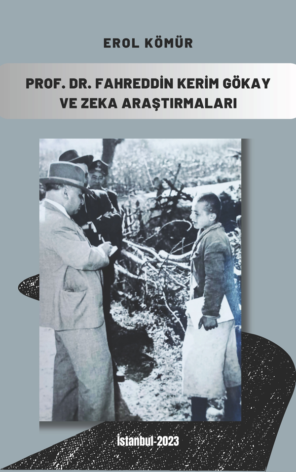 Prof. Dr. Fahreddin Kerim Gökay ve Zeka Araştırmaları