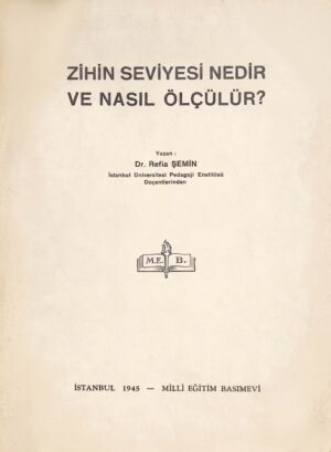 ZİHİN SEVİYESİ NEDİR? VE NASIL ÖLÇÜLÜR?